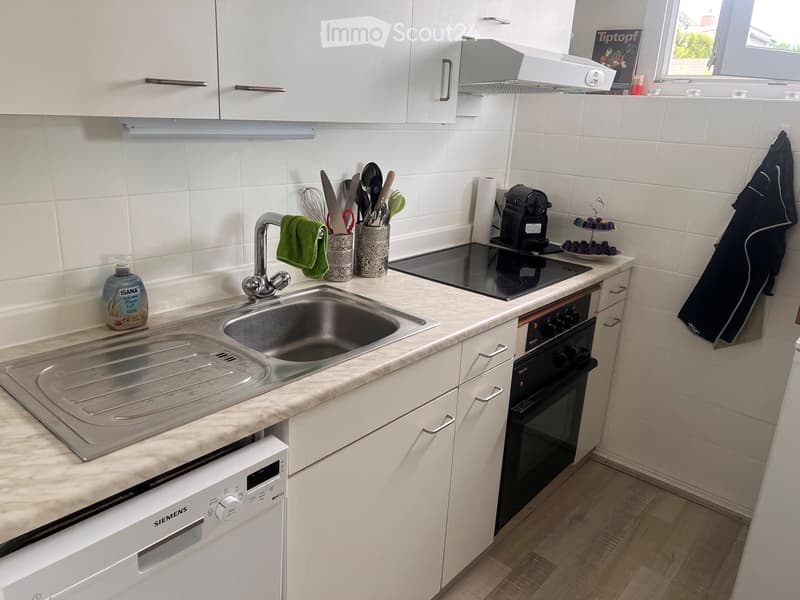 {"type": "Kitchen", "objects": ["sink", "faucet", "oven", "dishwasher", "coffee maker", "cabinets", "kitchen utensils", "oven mitt", "oven", "faucet", "oven", "oven", "oven", "oven", "oven", "oven", "oven", "oven", "oven", "oven", "oven", "oven", "oven",