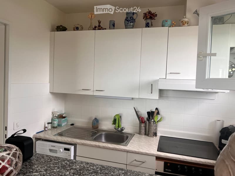 A modern kitchen with white cabinets, a stainless steel sink, and various appliances including an oven and dishwasher. The countertop is cluttered with cleaning supplies, utensils, and decorative items.
