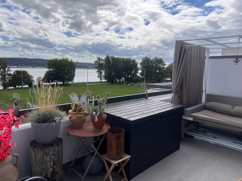Balcony with a view of a lake and greenery, featuring a wooden table, chairs, a sofa, and several potted plants including cacti and flowers.