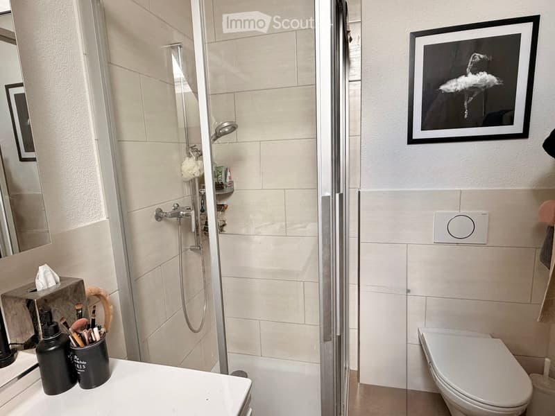 Modern bathroom with a walk-in shower, toilet, and a vanity with a mirror. The shower has a glass door and a handheld showerhead. A framed picture hangs on the wall, and a bottle and brush holder are on the vanity.