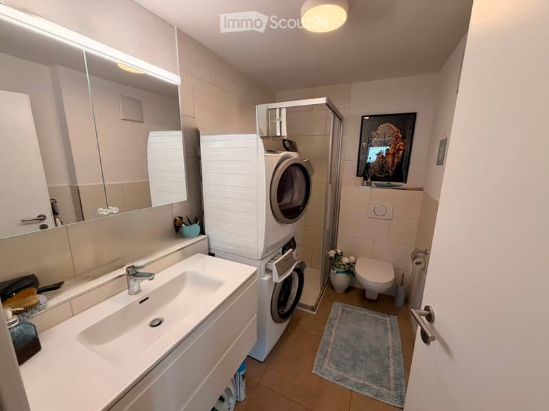 Modern bathroom with a sink, mirror, toilet, washing machine, and shower area. Includes a picture frame and a small rug.