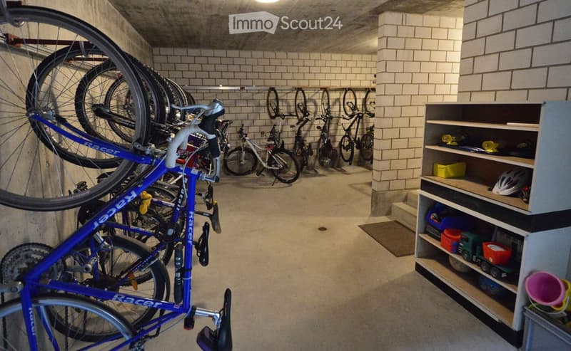{"type": "Garage", "objects": ["bicycle", "shelf", "helmet"], "description": "Garage with multiple bicycles stored on racks and shelves holding helmets and other items.", "localized_descriptions": {"EN": "Garage with multiple bicycles stored on racks and