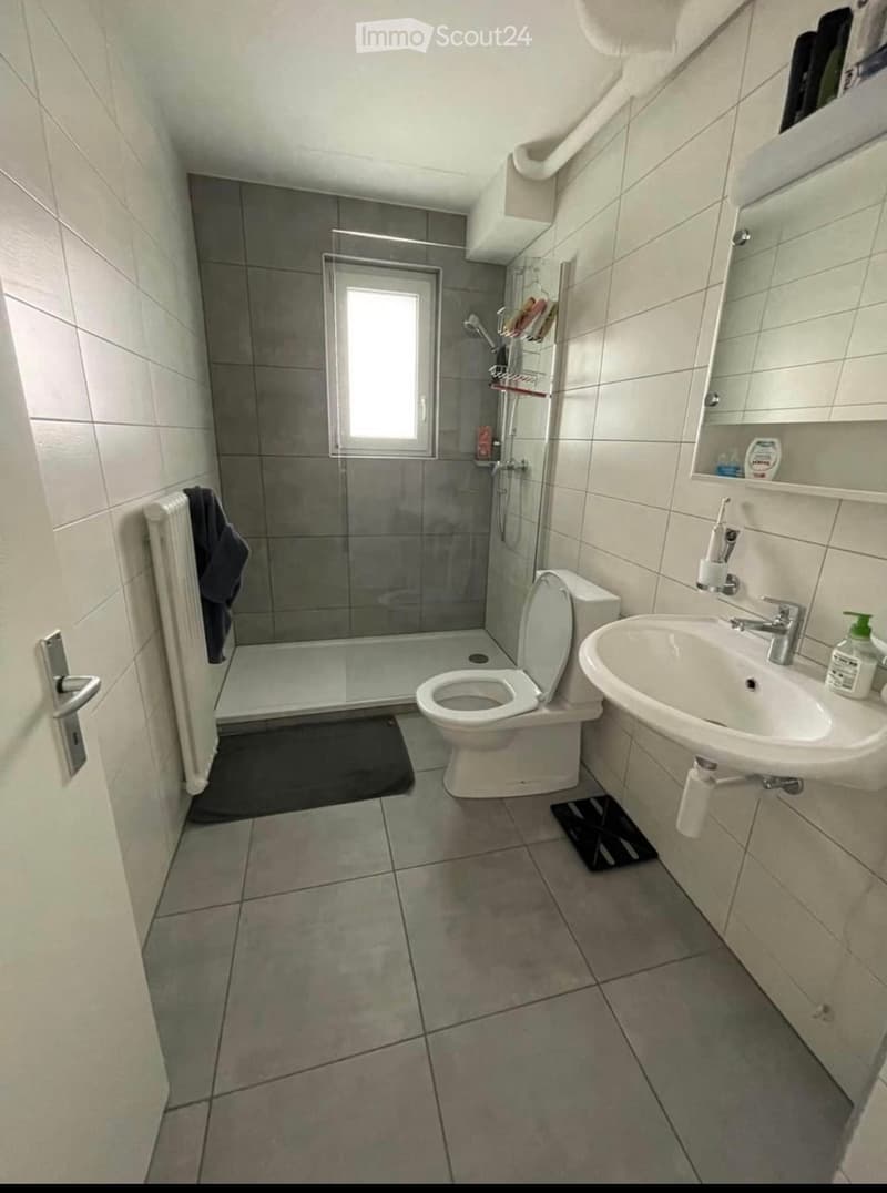Modern bathroom with a toilet, sink, mirror, and a glass-enclosed shower. Includes a radiator, towel, and bathroom mats.