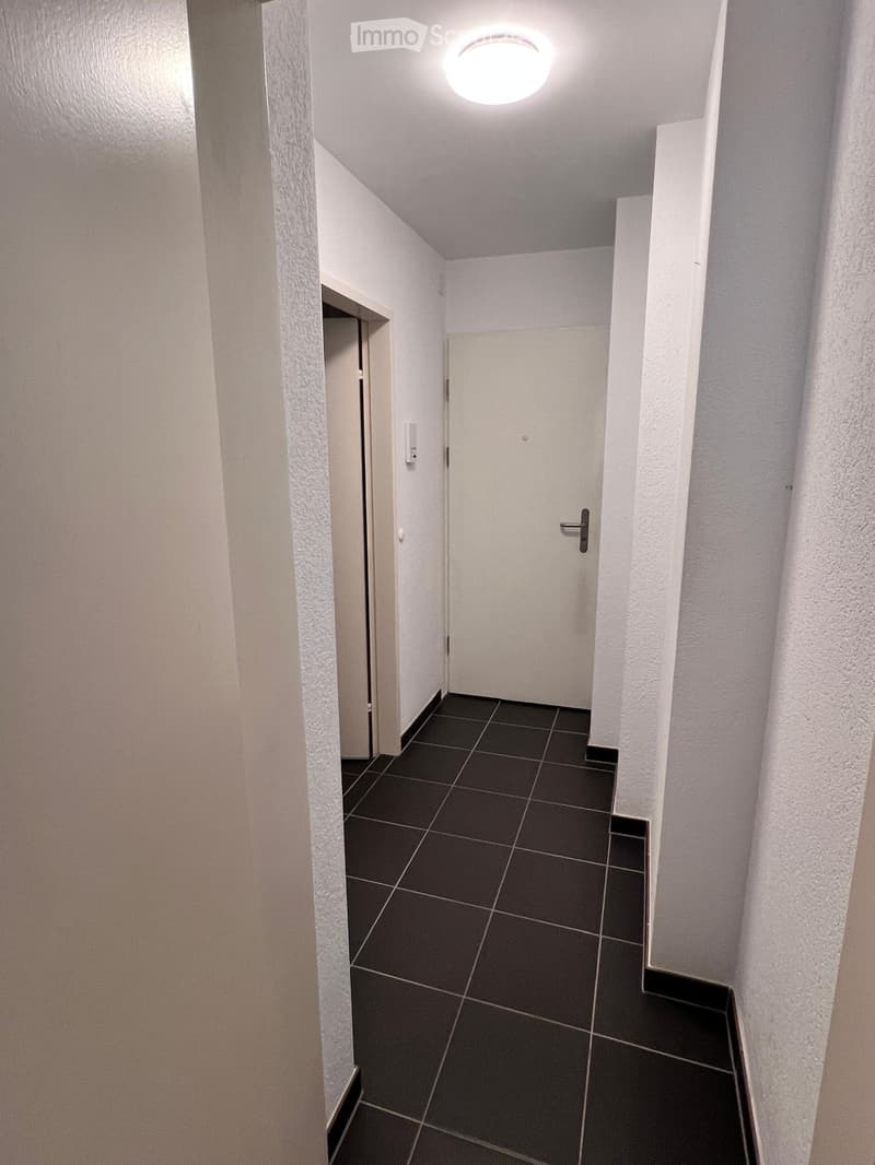 A narrow hallway with dark tiled flooring, white walls, and a ceiling light. Two doors are visible, one on each side of the hallway.