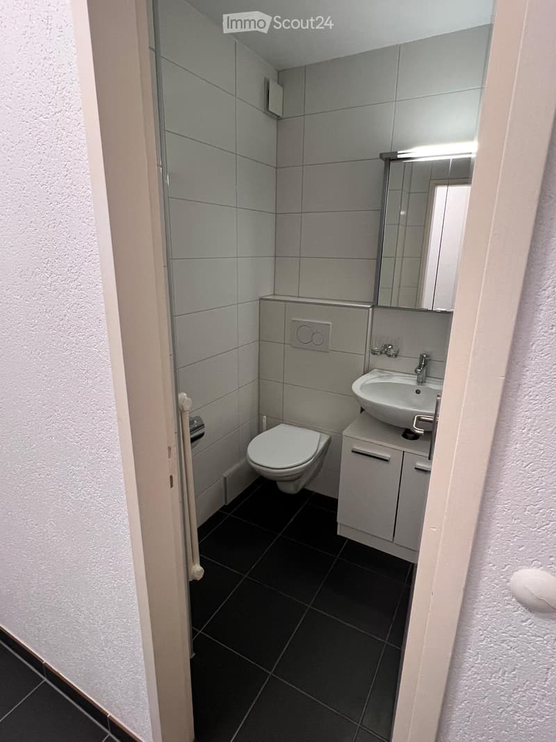 Modern bathroom with dark tiled floor, white toilet, sink with cabinet, and a large mirror above the sink.