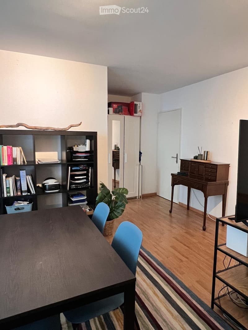 A furnished room with a wooden floor, a large table with chairs, a shelf with books and items, a potted plant, a cabinet, and a screen on a stand.