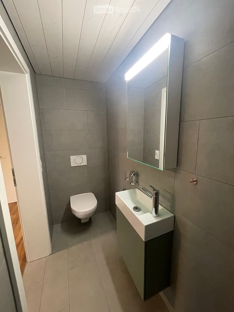 Modern bathroom with a toilet, sink, and mirror. The sink has a sleek faucet and is mounted on a dark cabinet. The walls are tiled in gray, and the floor is light-colored.