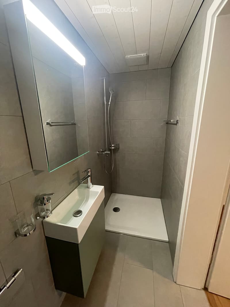 Modern, compact bathroom with a white sink, mirror, and a small shower area. Features include a sleek faucet, a soap dispenser, and a modern showerhead.