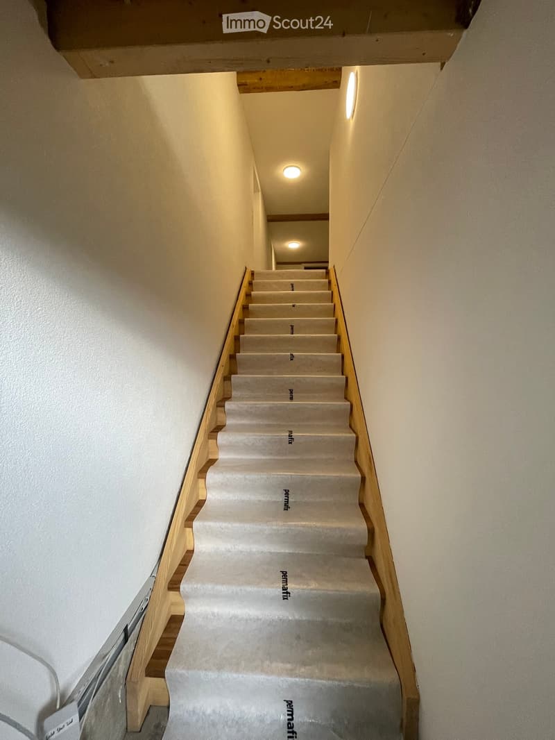 Staircase with carpeted steps and wooden handrails, illuminated by recessed ceiling lights.