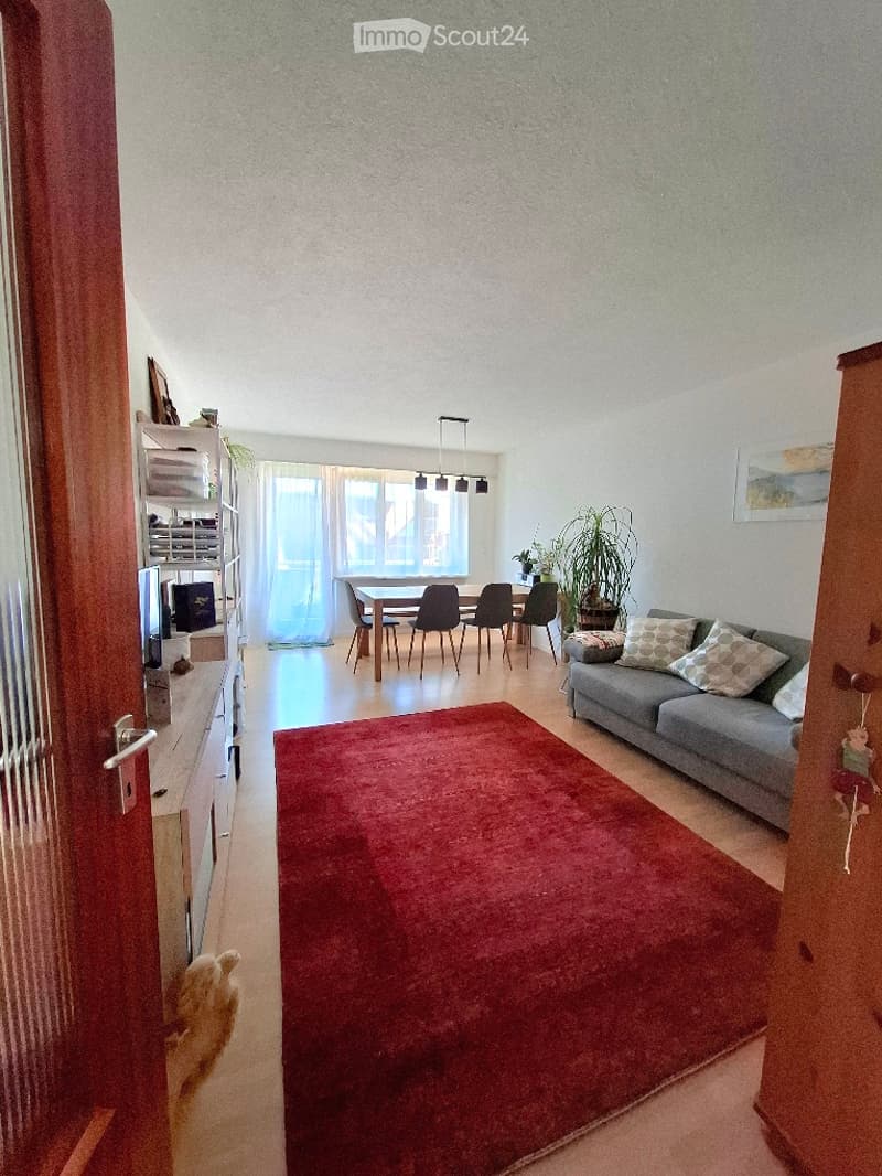 Open-plan living and dining area with a grey sofa, patterned cushions, a red area rug, a dining table with chairs, a potted plant, and a shelf with decorative items.