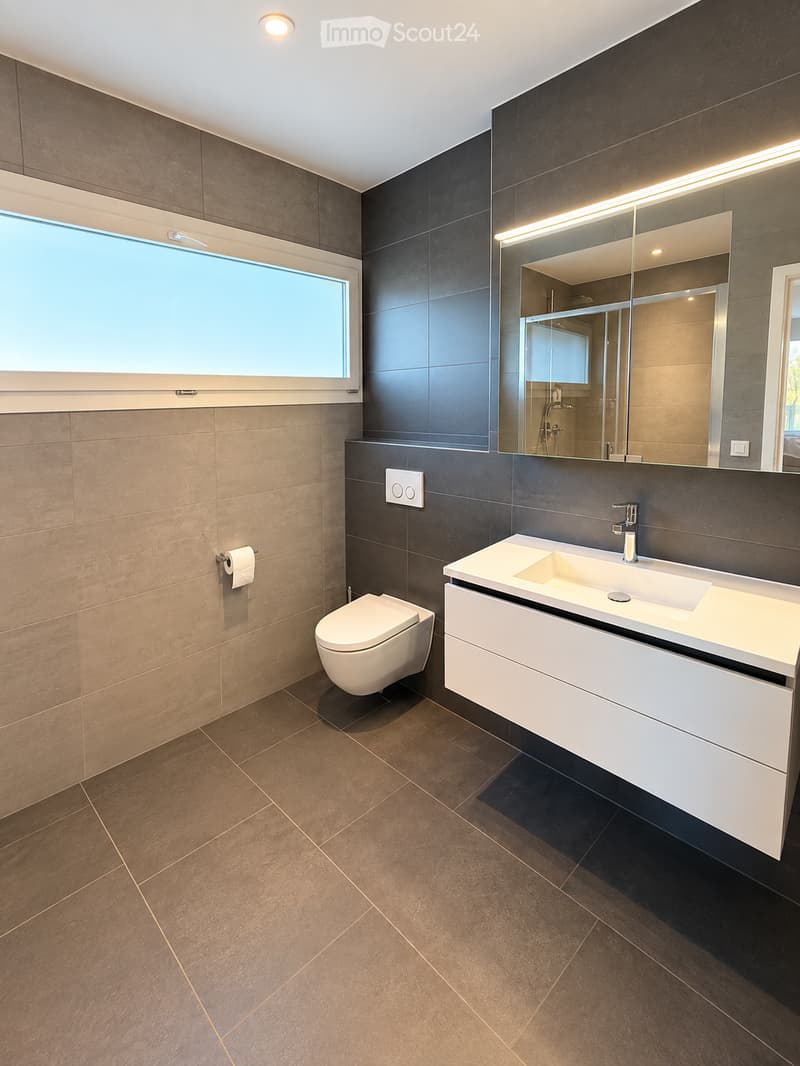 Modern bathroom with a white sink, toilet, large mirror, and sleek lighting fixture above the mirror. The walls are tiled in a combination of dark and light tones, and the floor is covered with brown tiles.