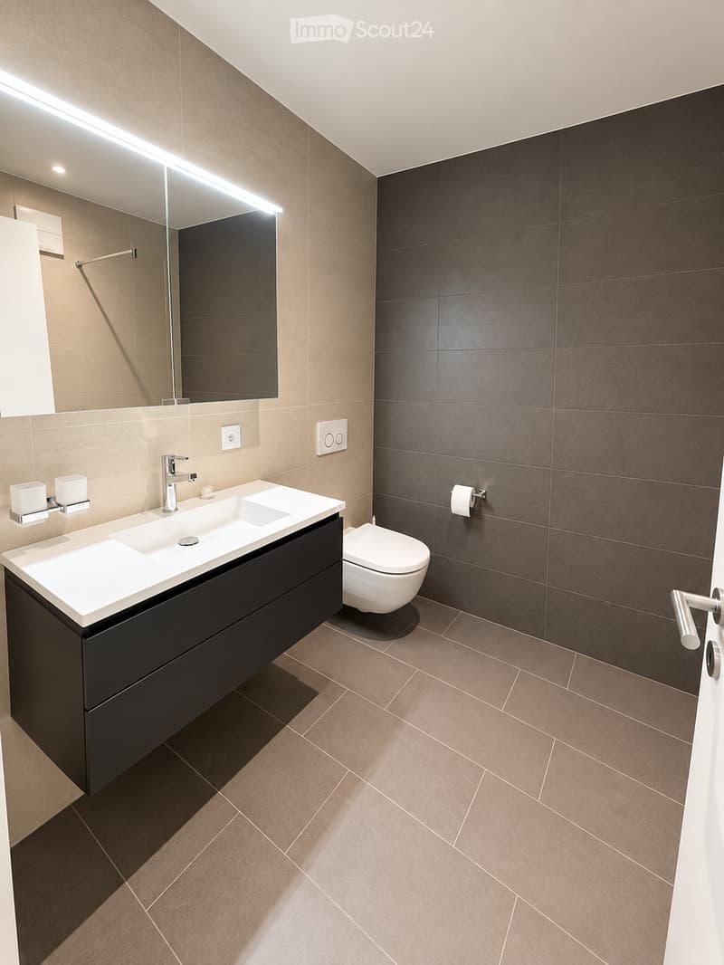 Modern bathroom with a white sink, black cabinet, chrome faucet, toilet, and large mirror with built-in lighting. Dark tiled walls and light brown tiled floor.