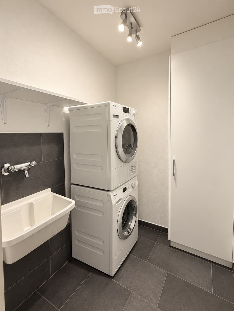 Modern bathroom with a white washing machine, a white sink, and a dark tiled wall.