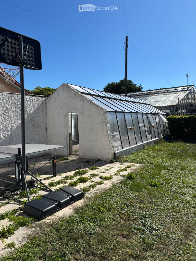 Outdoor area with a small greenhouse, a ping pong table, and a basketball hoop. The ground is partially covered with grass and concrete tiles.