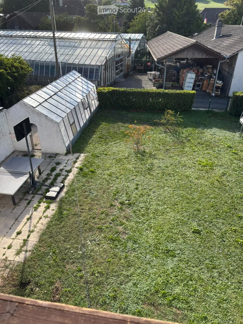 A well-maintained garden with a lawn, a greenhouse, a basketball hoop, and a small shed with storage items.