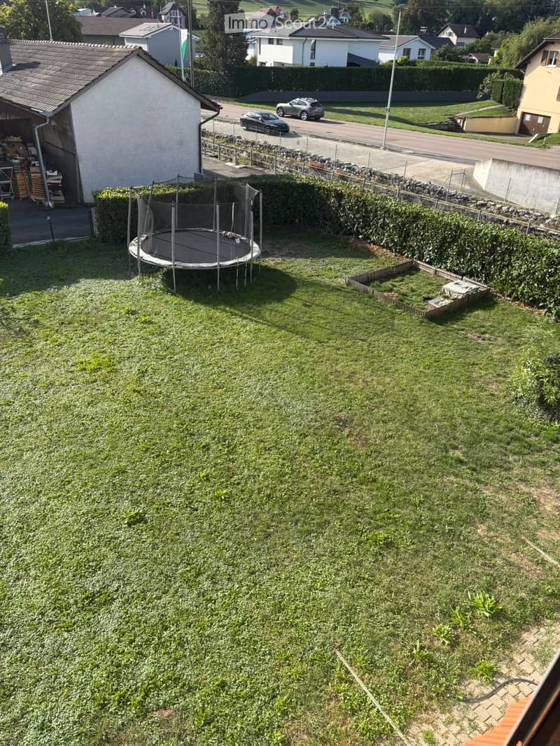 Lush green garden with a trampoline, surrounded by hedges and a stone wall, with neighboring houses and a road visible in the background.