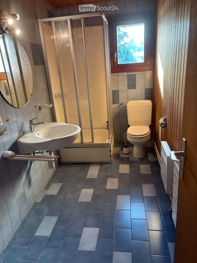 Modern bathroom with blue tiles, a toilet, a sink, a mirror, and a glass-enclosed shower. Natural light from a window illuminates the space.