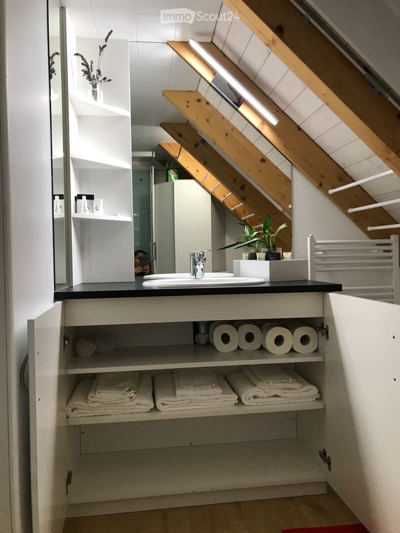 Modern bathroom with a double sink, sleek black countertop, white cabinet with open shelving, neatly stacked towels, toilet paper, and a small plant on the counter.