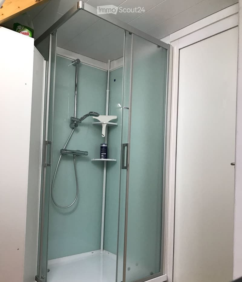 Modern shower stall with glass enclosure, built-in shelves, and a handheld showerhead.