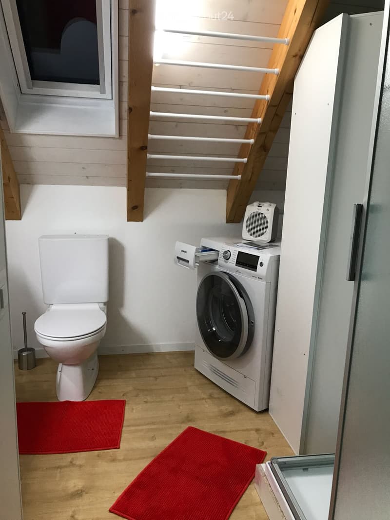 Compact bathroom with a toilet, washing machine, heater, and red rugs on the wooden floor.
