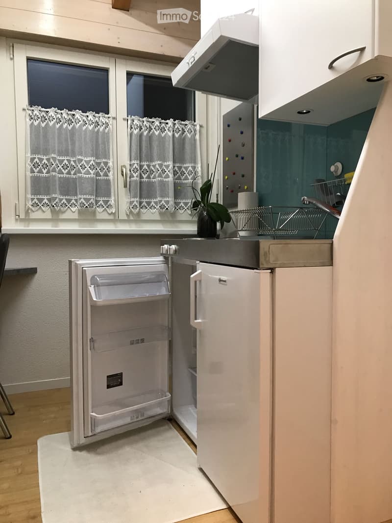 Compact kitchen with a refrigerator, sink, faucet, dish rack, and a small plant on the counter. White cabinets and light wooden flooring.