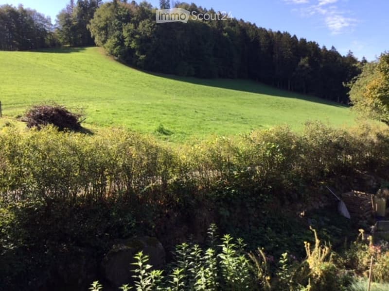 A lush green field with a dense forest in the background, surrounded by bushes and small plants in the foreground.
