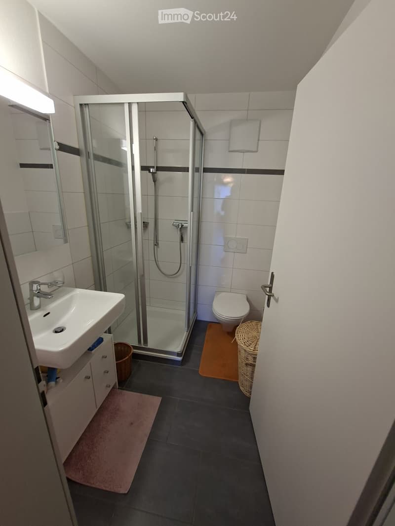 Modern bathroom with white tiles, a glass-enclosed shower, a sink with a mirror, a toilet, and two bath mats on the floor.
