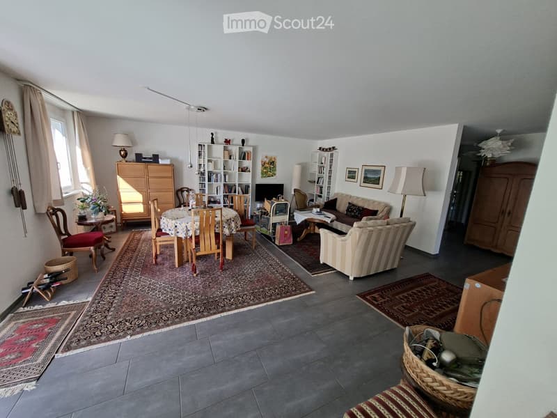 Bright living and dining area with a sofa, dining table, chairs, bookshelves, lamps, and a television. The space features multiple rugs and a mix of modern and traditional furniture.
