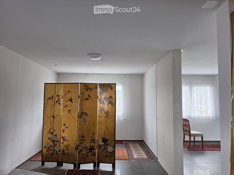 A modern hallway with a decorative screen, a single chair, and patterned rugs on the floor.
