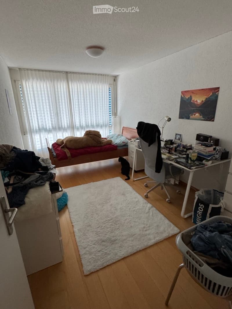 A furnished bedroom with a bed, desk, chair, cat, lamp, picture frame, basket, and curtain.
