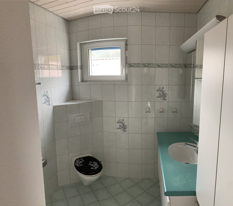 Grosszügiges Einfamilienhaus (10)