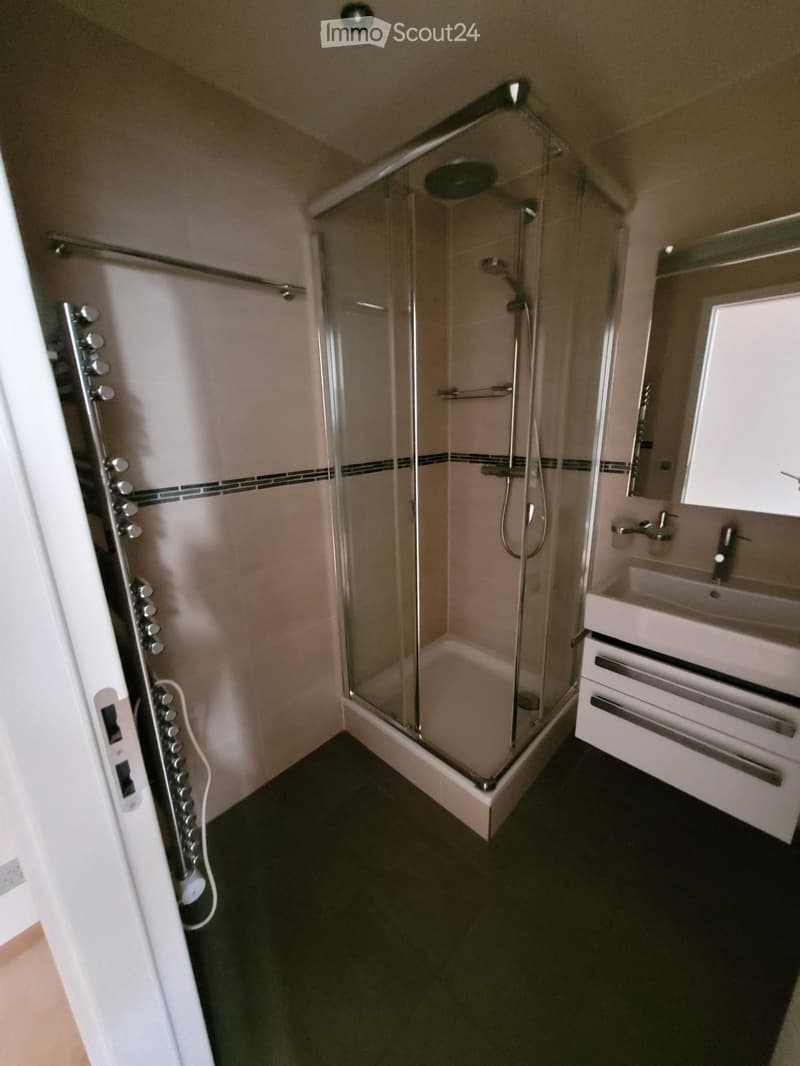 Modern bathroom with a glass-enclosed shower, a sink with a mirror, and a dark tiled floor.