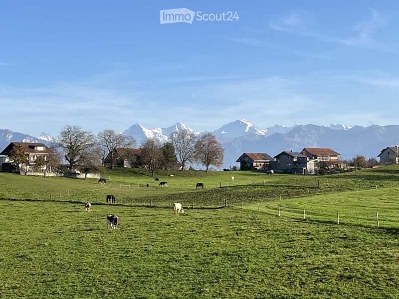 A peaceful rural landscape with green fields, grazing cows, scattered houses, and distant snow-capped mountains under a clear blue sky.