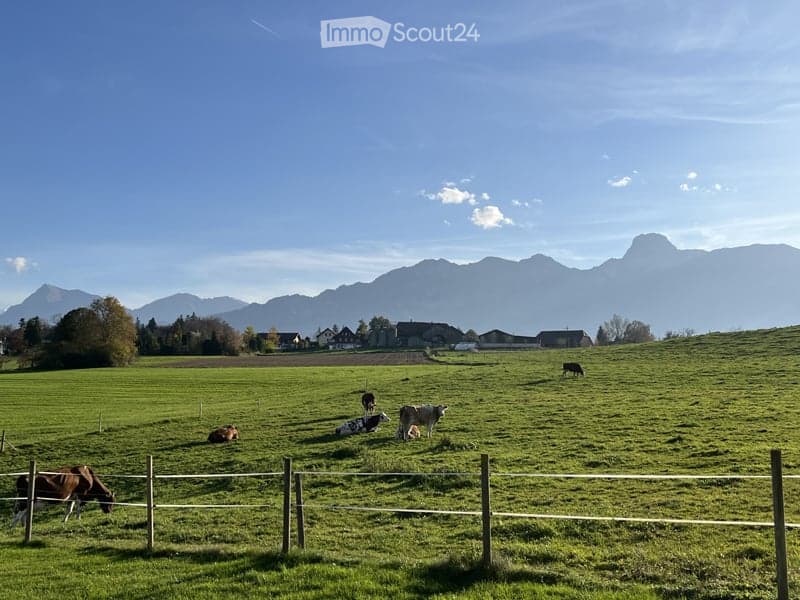 A peaceful countryside scene with cows grazing in a green field, surrounded by a wooden fence, with distant mountains and a small village visible in the background.