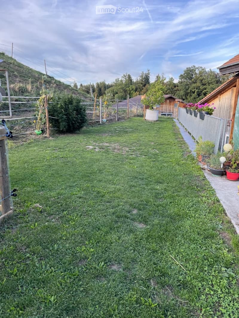 Backyard with a grassy lawn, small fence, and a few potted plants along the side.