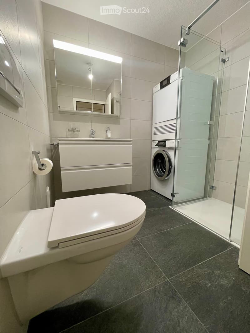 Neu renovierte 6.5-Zimmer Wohnung in Ennetbürgen NW inkl. Garage (9)