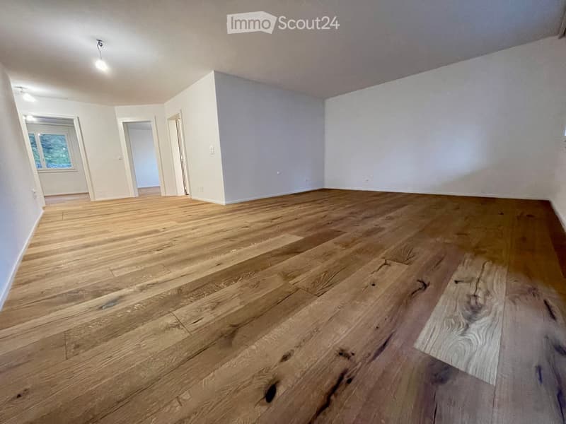 Neu renovierte 6.5-Zimmer Wohnung in Ennetbürgen NW inkl. Garage (10)