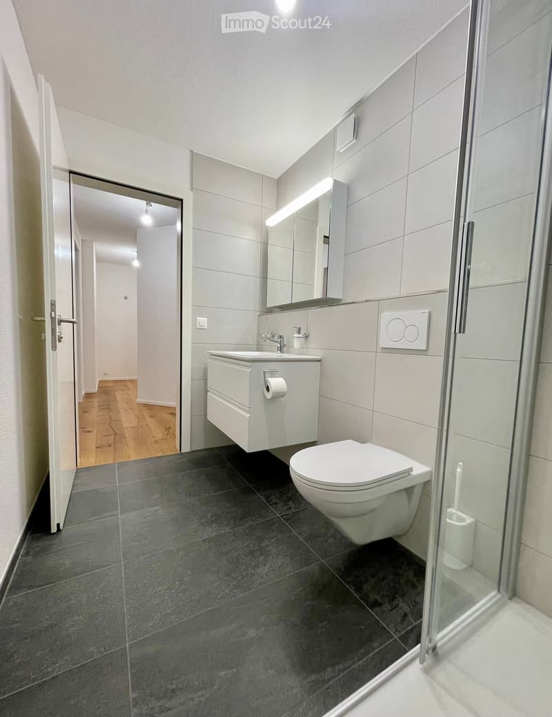 Neu renovierte 6.5-Zimmer Wohnung in Ennetbürgen NW inkl. Garage (7)