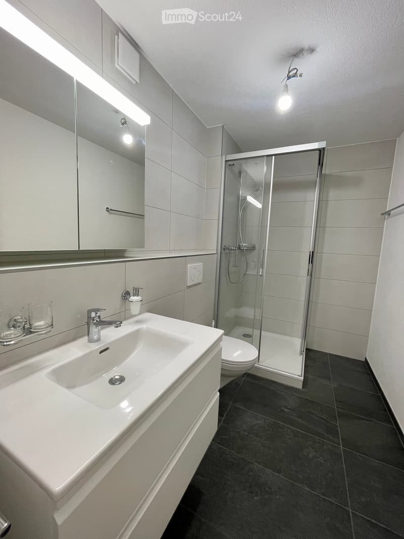 Neu renovierte 6.5-Zimmer Wohnung in Ennetbürgen NW inkl. Garage (12)