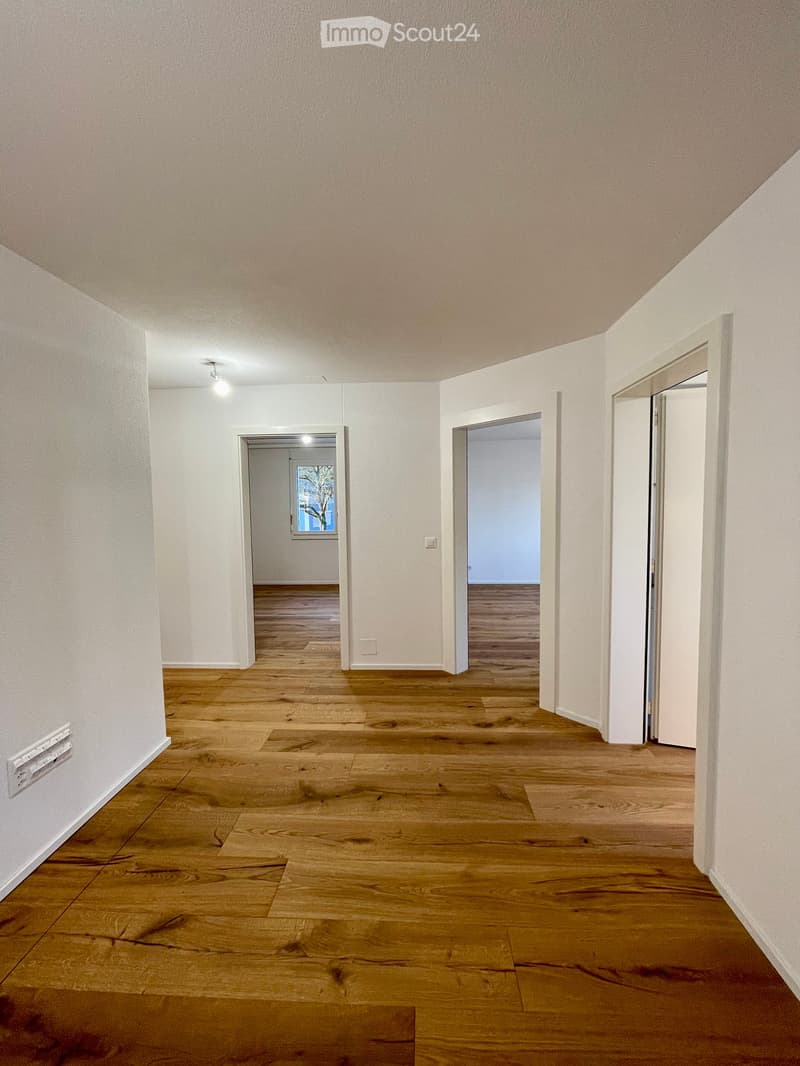 Neu renovierte 6.5-Zimmer Wohnung in Ennetbürgen NW inkl. Garage (1)
