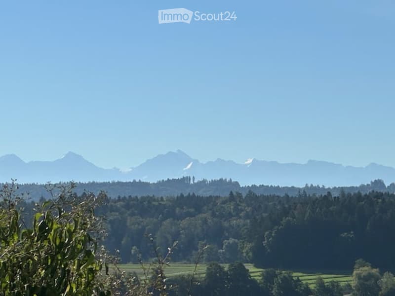A panoramic view of a lush green forest and distant mountain range under a clear blue sky.