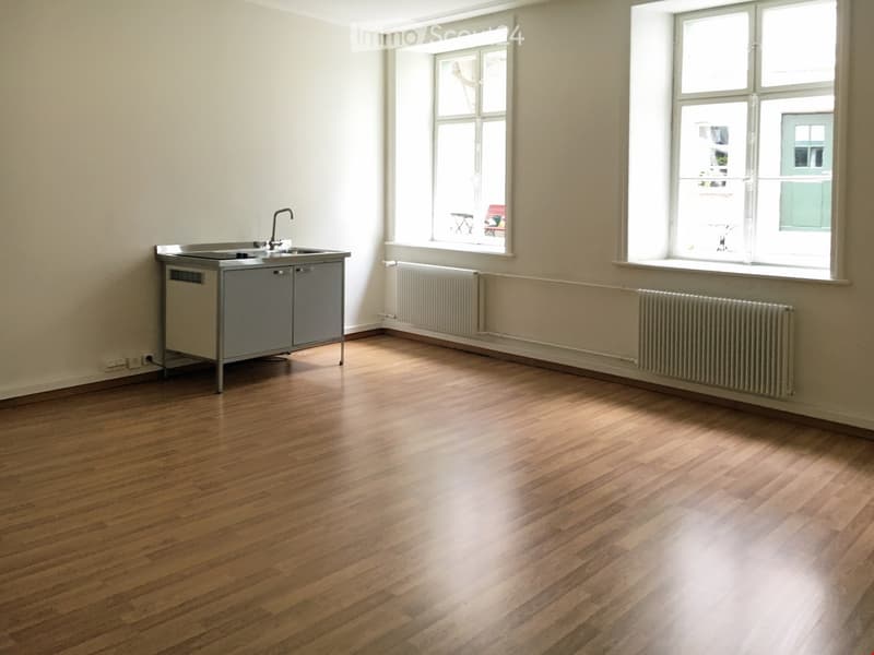 Empty room with wooden flooring, grey cabinet, sink, and radiator. Two windows provide natural light.