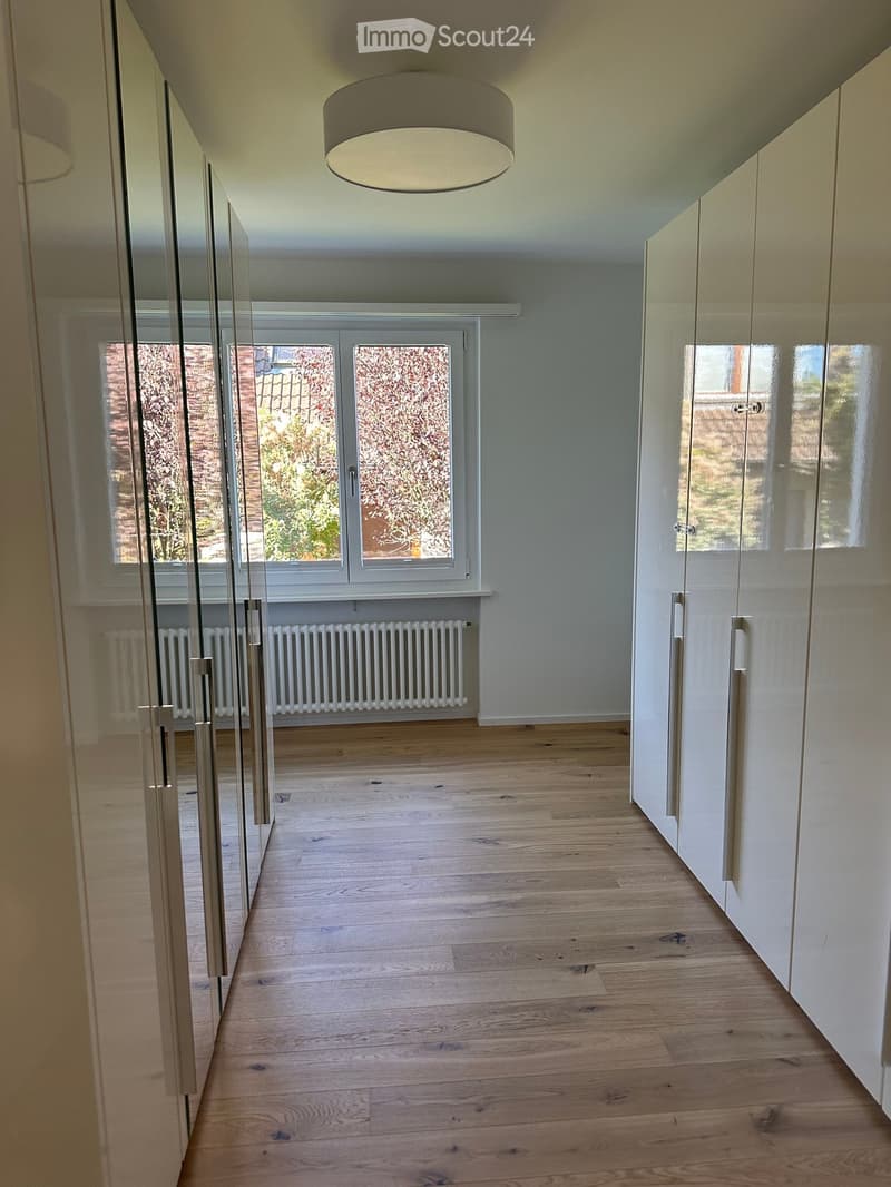 Wooden floor, white walls, large window, mirror doors on cabinets, ceiling lamp, radiators