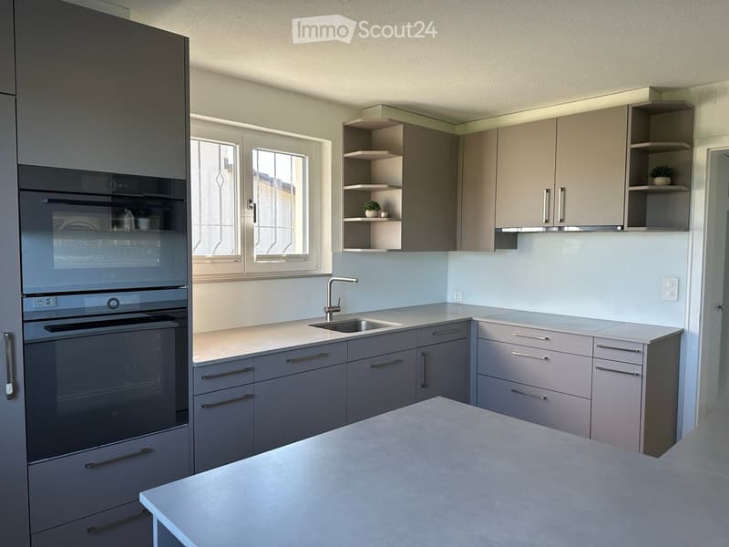 modern kitchen with gray cabinets, stainless steel sink, built-in oven, island countertop, plants, natural light