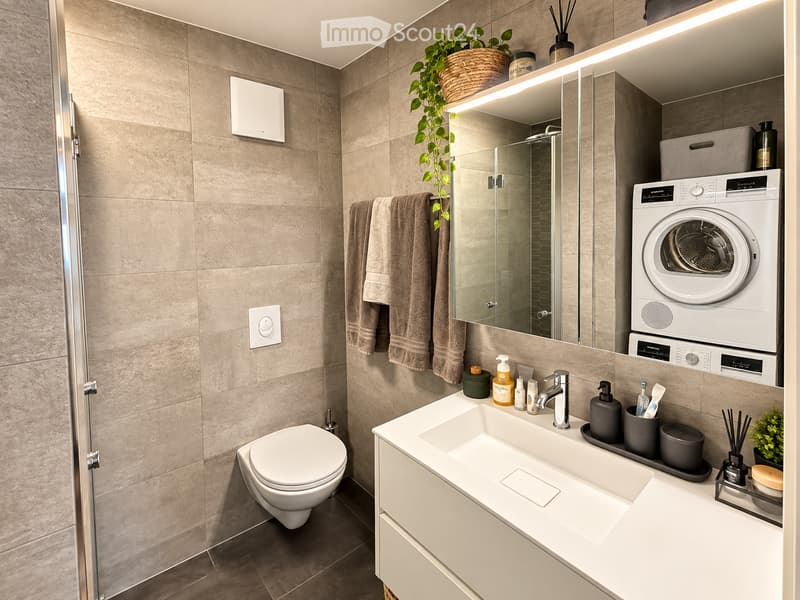 Modern bathroom with a white toilet, a large sink with a modern faucet, a built-in mirror with shelves, a washing machine, and a small plant on the shelf.