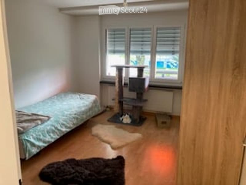 Small bedroom with a single bed, a cat tree, a cat, and a rug on a wooden floor.