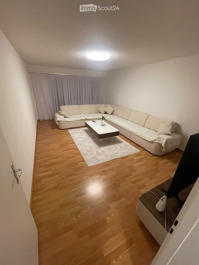 Modern living room with light-colored sectional sofa, coffee table, area rug, and TV on stand.