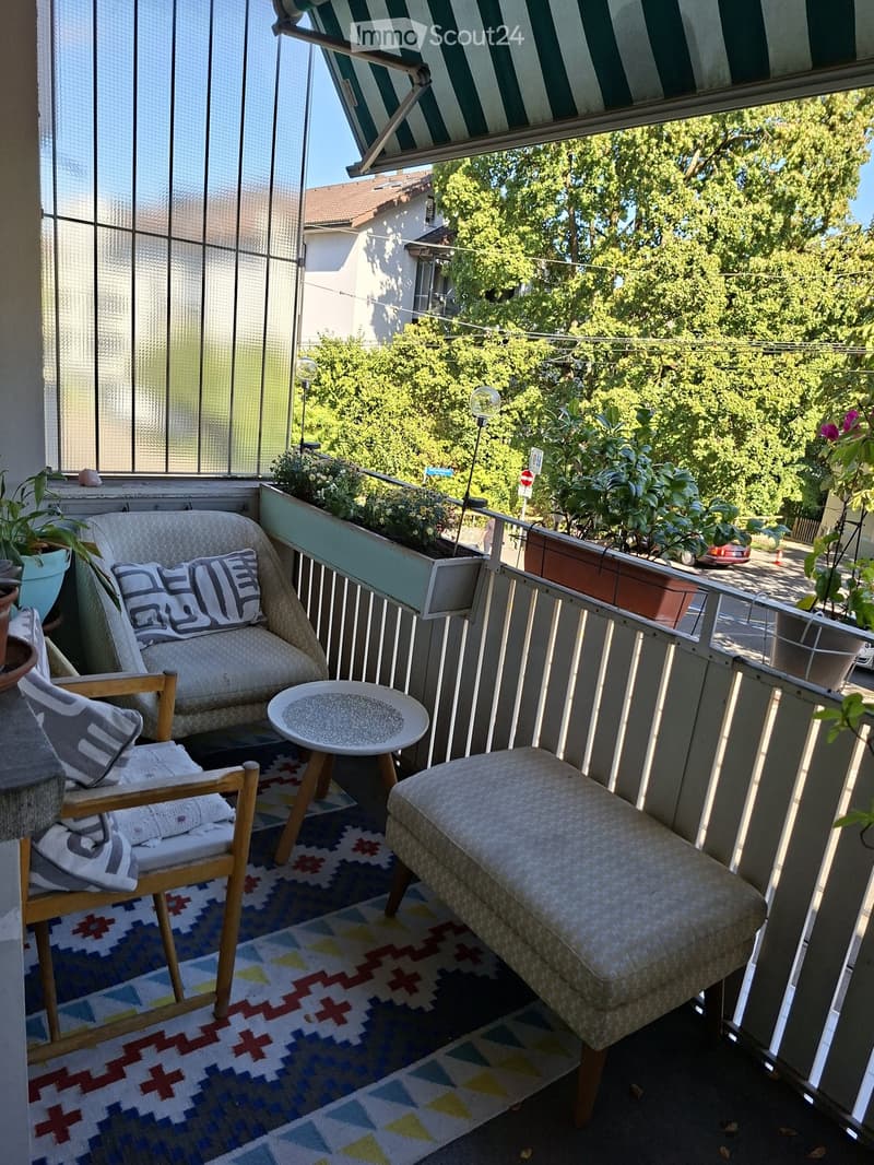 Balcony with a sofa, chair, small table, and bench, decorated with a colorful rug and potted plants.