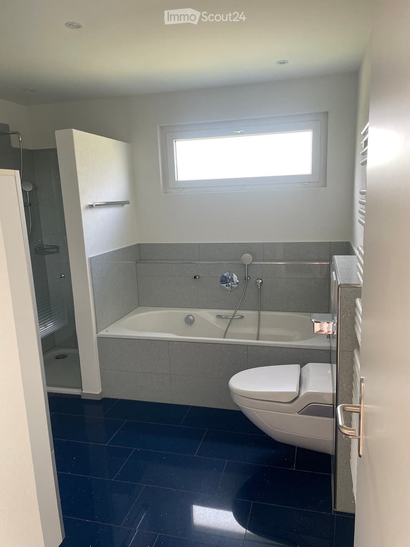 Modern bathroom with dark blue tiles, a bathtub, toilet, shower area, and a radiator.