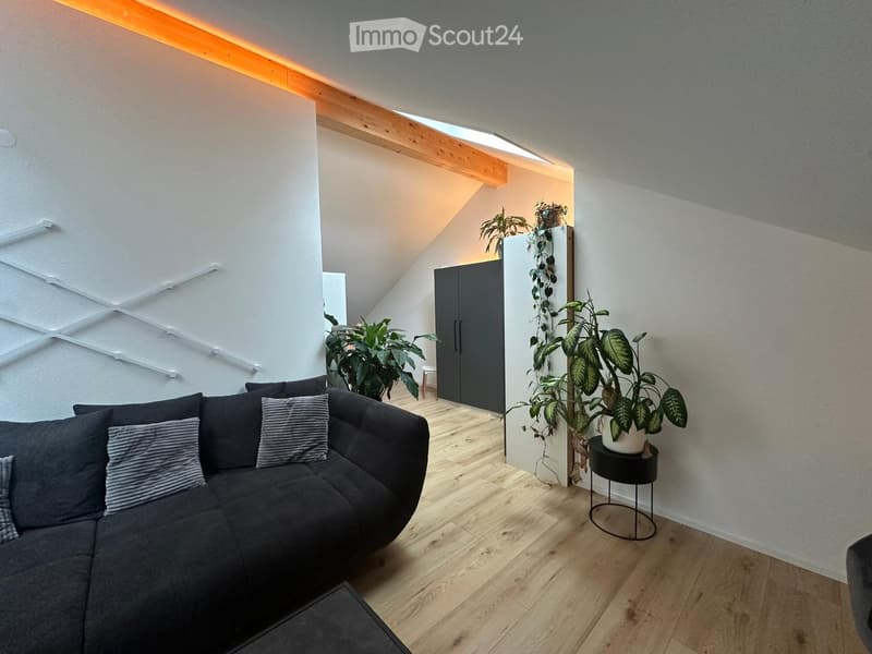 Modern living room with wooden flooring, a dark grey sectional sofa, a coffee table, a side table with a potted plant, and a cabinet with a hanging plant. The room features white walls and a skylight.